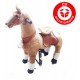 Pferd Pony zum Reiten	