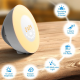 Wake-up Light LED Natürlich Aufwachen mit Licht Touch Wecker FM-Radio Neuheit