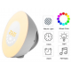 Wake-up Light LED Natürlich Aufwachen mit Licht Touch Wecker FM-Radio Neuheit