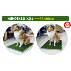 Hund Hunde Klo WC XXL Grösse Hundeklo Welpe Welpen Welpentoilette Stubenrein Haustiere Hundetoilette WC Toilette 3 Schichten