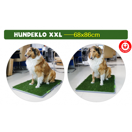 Hunde Klo Toilette WC in XXL für Welpen und Senioren	