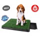 Deluxe Hunde Klo WC Toilette Hundeklo Hundewc Welpen Klo Welpentoilette Trainingsgerät USA HIT