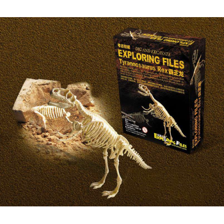 Dinosaurier Tyrannosaurus-Rex T-Rex Ausgrabungsset Experiment Skelett Kreativ Pädagogisch Archäologie