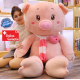 Schwein Plüsch Plüschtier XXL Schweinchen Plüschschwein Geschenk Frau Kind 210cm Love Liebe