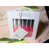 Christian Dior La Collection Lipgloss Limited Edition