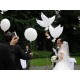 Hochzeitstauben Ballon Tauben Hochzeit Weiss Folienballon 5 Stück Set Geschenk