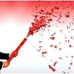 Rosenregen Konfetti Rosenblätter rot 60cm lang Hochzeit Konfettibombe Party Konfettishooter