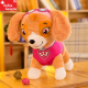 PAW Patrol – Helfer auf vier Pfoten Skye Plüsch Hund Mädchen Figur Kuscheltier 40cm Plüschtier