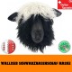 Nez noir du Valais masque mouton