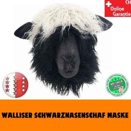 Nez noir du Valais masque mouton