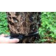 Mercedes-Benz Klappmesser im Einsatz an einem Baum. Survival Tool mit Stil, wenn der Wald mal wieder nach Abenteuer ruft