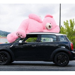 Teddybär XXL Gigantisches Premium Kuscheltier 260 cm in Rosa