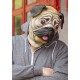 Mops Hunde Hund Latex Maske Latexmaske Hundemaske Lustig Fun Party