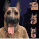 Schäfer Hunde Hund Maske Schäferhund Hundemaske Tiermaske Fasnacht Party Neu