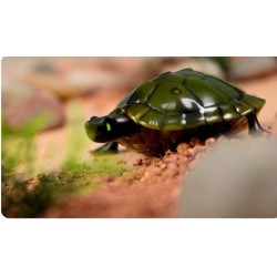 Ferngesteuerte Schildkröte Spielzeug Kinder Geschenk Süss