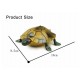 Ferngesteuerte Schildkröte Spielzeug Kinder Geschenk Süss