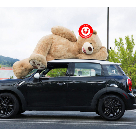 XXL Teddybär 260 cm hellbraun. Passt vielleicht nicht ins Auto, aber in jedes Herz.