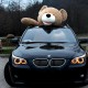 Teddybär XXL 260 cm in Hellbraun, zu gross fürs Auto aber perfekt fürs Herz